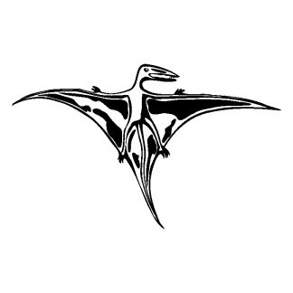 Flugsaurier - Fossil